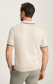 Polo Sweater In Pure Cashmere