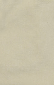 Arizona Slim Shorts In Aluminum Twill