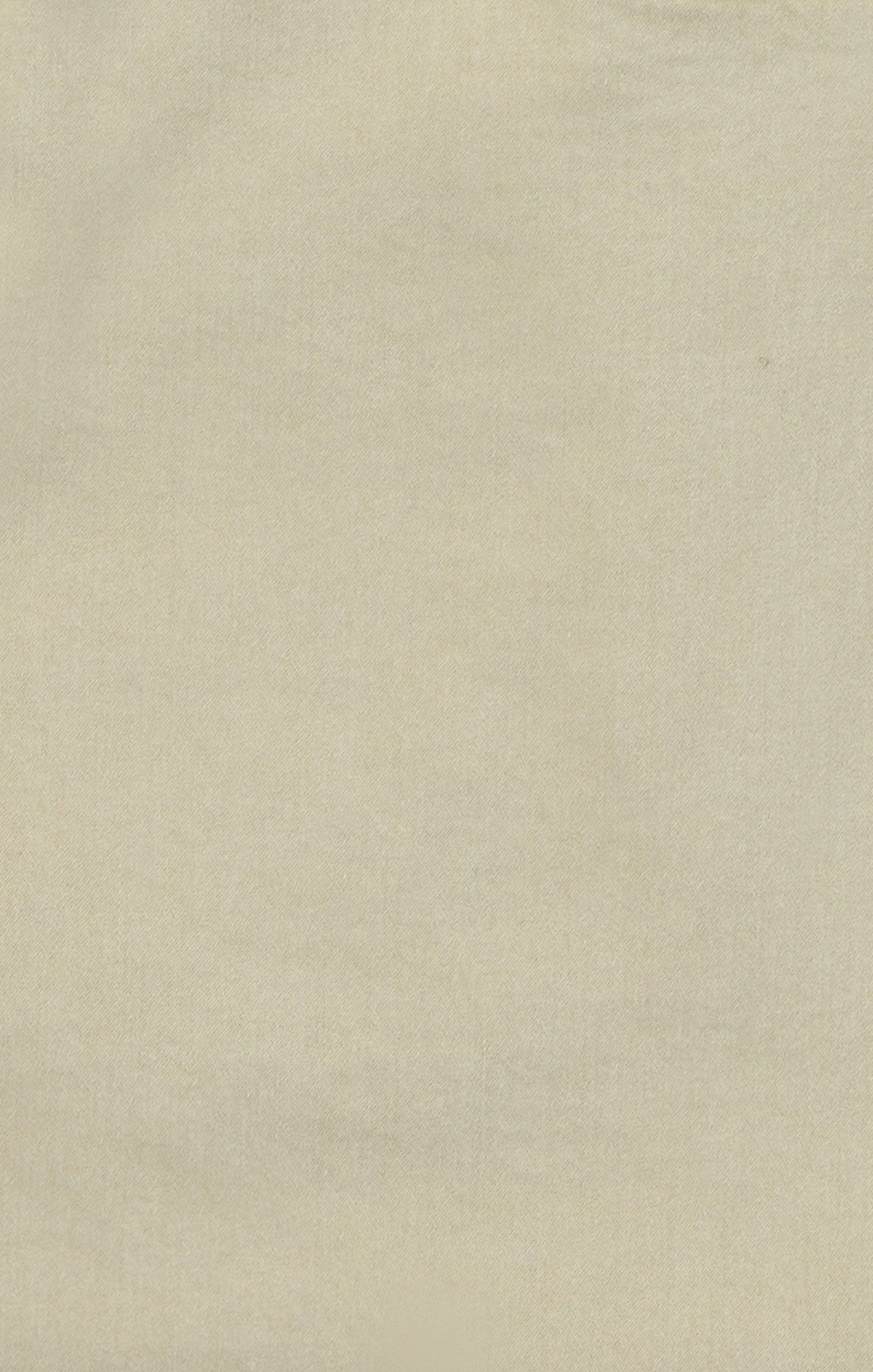 Arizona Slim Shorts In Aluminum Twill